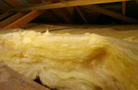 Dulas pitch roof insulation